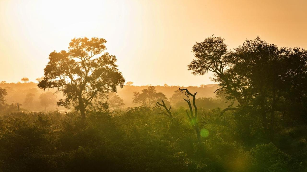 Geiger'S Camp In Timbavati Game Reserve By Newmark Exteriör bild